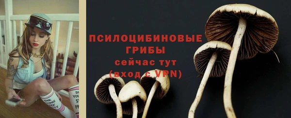 Альфа ПВП Надым